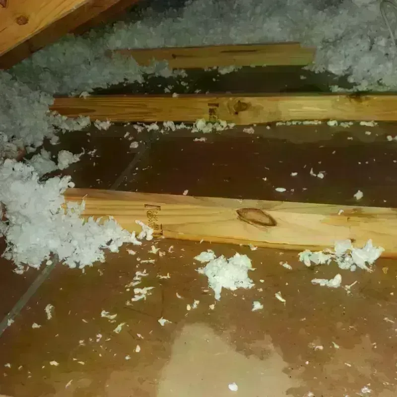 Attic Water Damage in Becker, MN