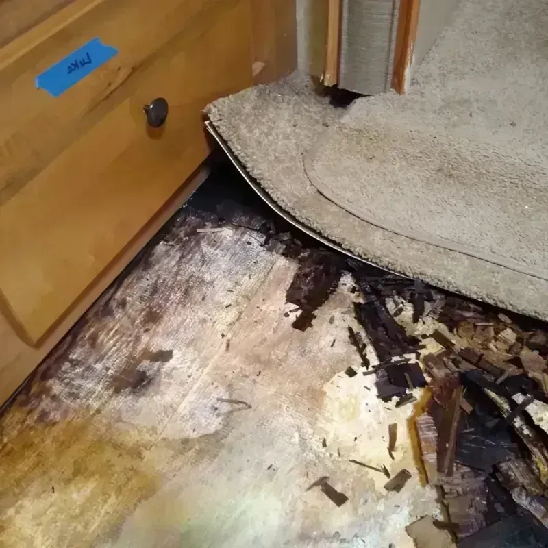 Wood Floor Water Damage in Becker, MN